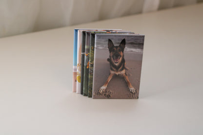 Set of 6 Custom Magnets - 2x3